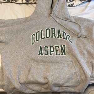 Brandy Melville ASPEN oversized hoodie